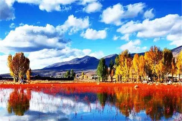 雙凱智能：說(shuō)走就走旅行？有TA更輕松